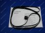 Carriage Belt 42 inch (สายพาน) [ELP]